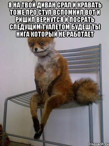 я на твой диван срал и кравать тоже про стул вспомнил вот и ришил вернутся и посрать следущим туалетом будеш ты нига который не работает , Мем Упоротая лиса