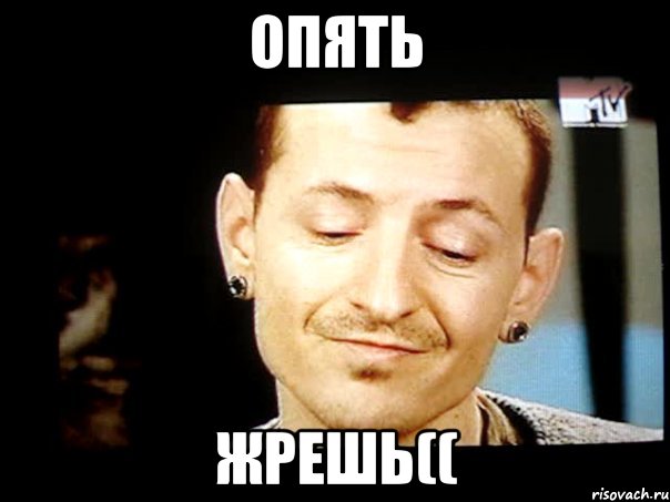 опять жрешь((