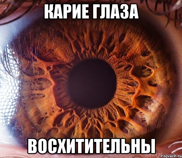 Карие глаза Восхитительны