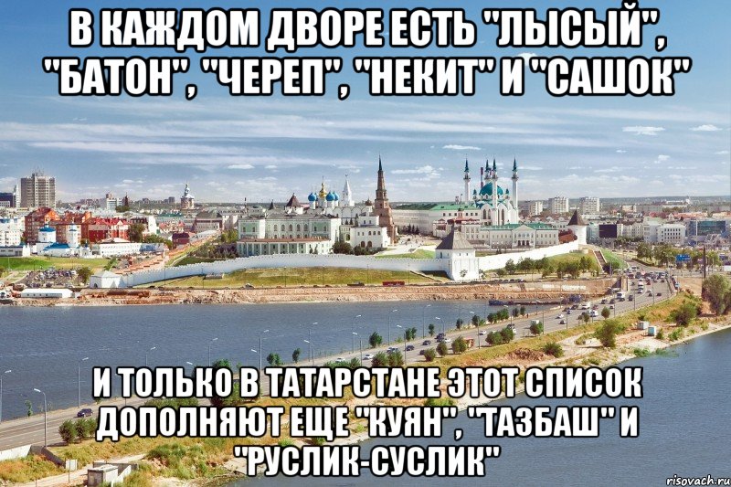 в каждом дворе есть "лысый", "батон", "череп", "некит" и "сашок" и только в татарстане этот список дополняют еще "куян", "тазбаш" и "руслик-суслик"