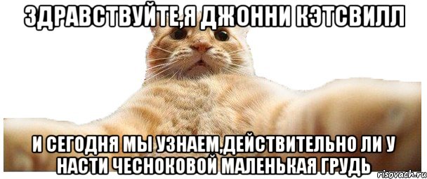 Здравствуйте,я Джонни Кэтсвилл и сегодня мы узнаем,действительно ли у Насти Чесноковой маленькая грудь, Мем   Кэтсвилл