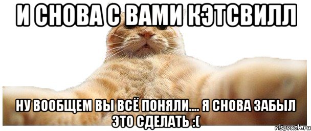 И снова с Вами Кэтсвилл Ну вообщем вы всё поняли.... Я снова забыл это сделать :(, Мем   Кэтсвилл