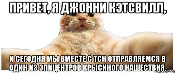 Привет, я Джонни Кэтсвилл, и сегодня мы вместе с ТСН отправляемся в один из эпицентров крысиного нашествия., Мем   Кэтсвилл