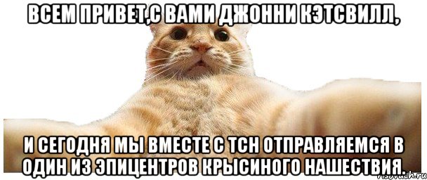 Всем привет,с вами Джонни Кэтсвилл, и сегодня мы вместе с ТСН отправляемся в один из эпицентров крысиного нашествия., Мем   Кэтсвилл