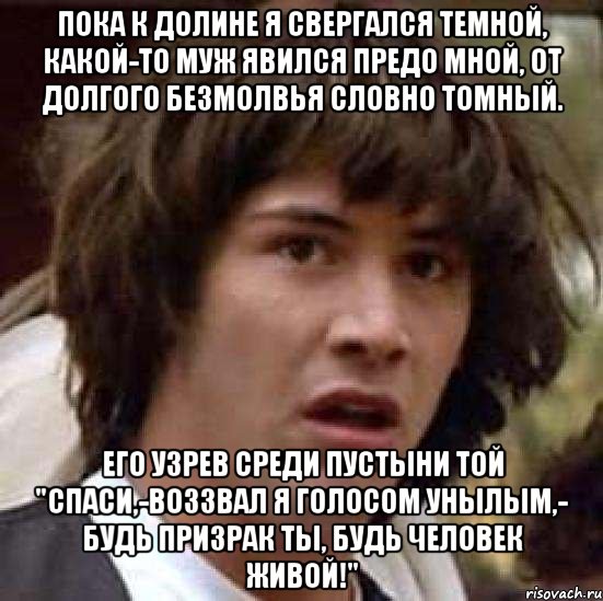 Пока к долине я свергался темной, Какой-то муж явился предо мной, От долгого безмолвья словно томный. Его узрев среди пустыни той "Спаси,-воззвал я голосом унылым,- Будь призрак ты, будь человек живой!", Мем А что если (Киану Ривз)