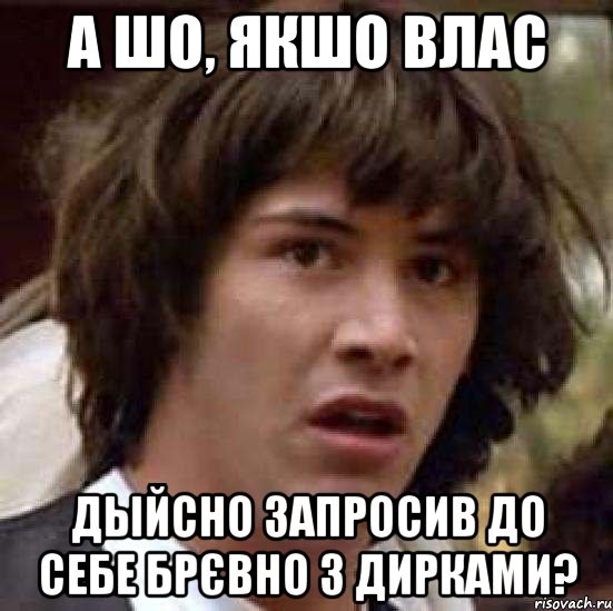 А ШО, ЯКШО ВЛАС ДЫЙСНО ЗАПРОСИВ ДО СЕБЕ БРЄВНО З ДИРКАМИ?, Мем А что если (Киану Ривз)