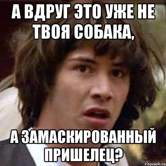 А вдруг это уже не твоя собака, а замаскированный пришелец?, Мем А что если (Киану Ривз)