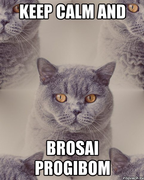 keep calm and brosai progibom