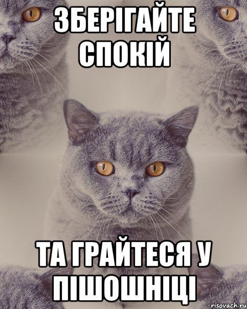 зберігайте спокій та грайтеся у пішошніці
