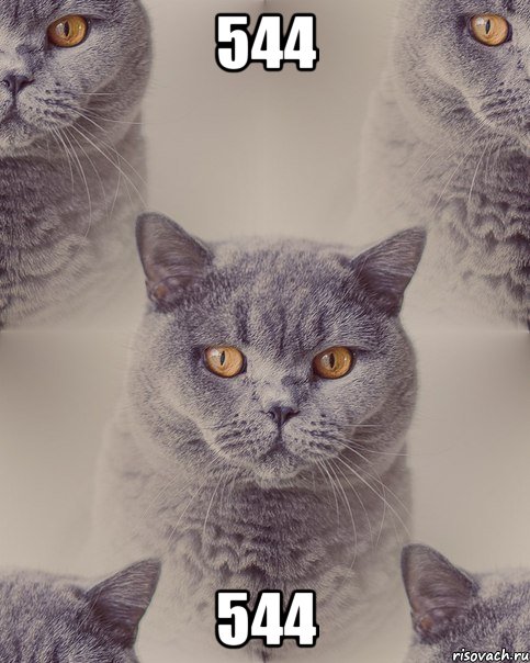 544 544