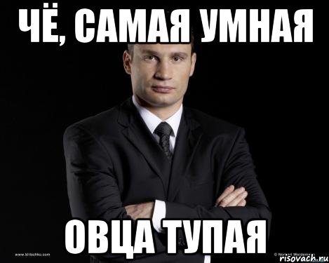 Чё, самая умная овца тупая, Мем Кличко 3