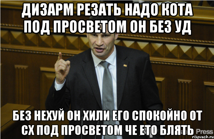 Дизарм резать надо кота под просветом он без уд без нехуй он хили его спокойно от сх под просветом че ето блять, Мем кличко философ