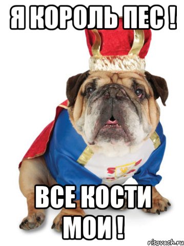 Я король Пес ! Все кости мои !