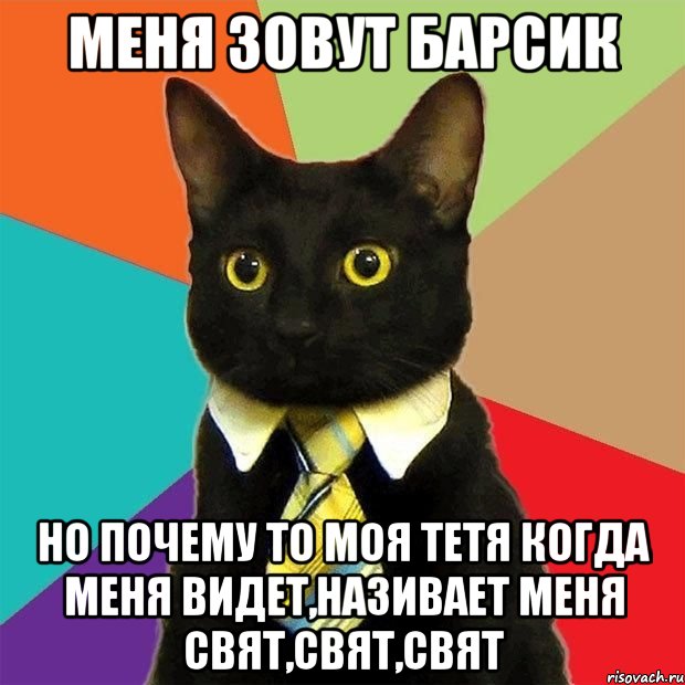 Меня зовут Барсик Но почему то моя тетя когда меня видет,називает меня свят,свят,свят, Мем  Кошечка