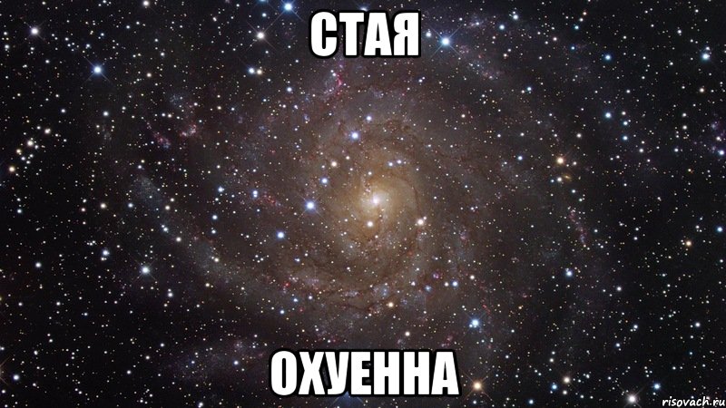 Стая Охуенна, Мем  Космос (офигенно)