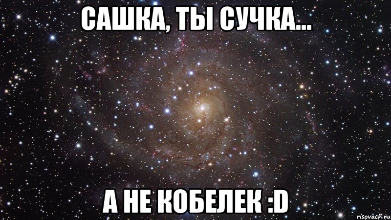 Сашка, ты сучка... А не кобелек :D, Мем  Космос (офигенно)