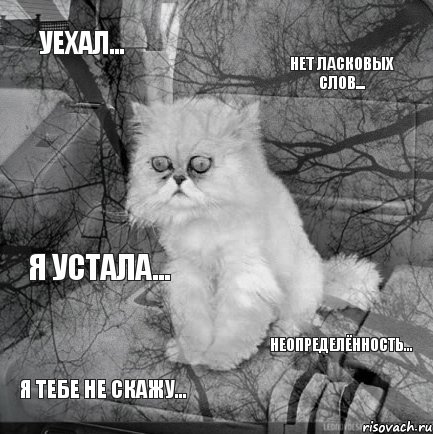 уехал... нет ласковых слов... я тебе не скажу... неопределённость... я устала...