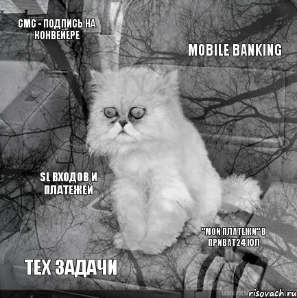 СМС - подпись на конвейере Mobile Banking Тех задачи "Мои платежи" в Приват24 ЮЛ SL входов и платежей, Комикс  кот безысходность