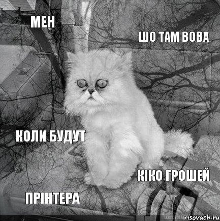 мен шо там Вова Прінтера Кіко грошей Коли будут, Комикс  кот безысходность