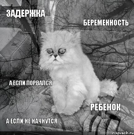 Задержка Беременность А если не начнутся Ребенок А если порвался, Комикс  кот безысходность