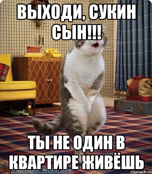 Выходи, сукин сын!!! ты не один в квартире живёшь