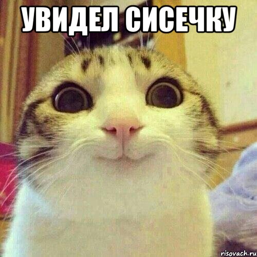 Увидел сисечку 
