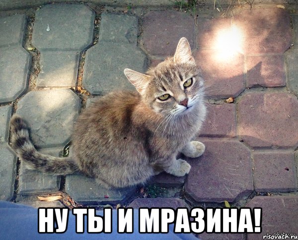  ну ты и мразина!