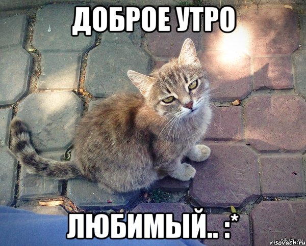 Доброе утро любимый.. :*