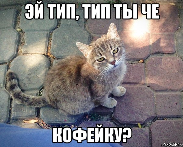 эй тип, тип ты че кофейку?