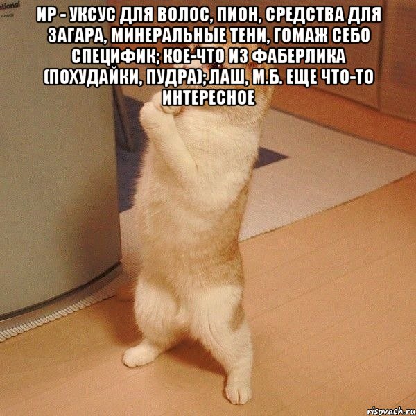 ИР - уксус для волос, пион, средства для загара, минеральные тени, гомаж себо специфик; кое-что из фаберлика (похудайки, пудра); лаш, м.б. еще что-то интересное , Мем  котэ молится