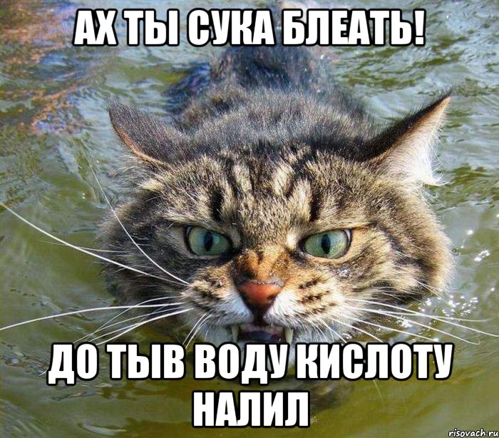 ах ты сука блеать! до тыв воду кислоту налил