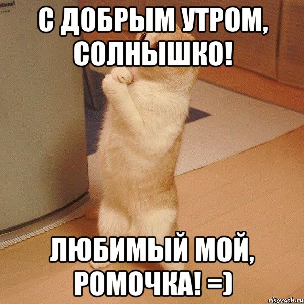 С добрым утром, солнышко! Любимый мой, Ромочка! =), Мем  котэ молится