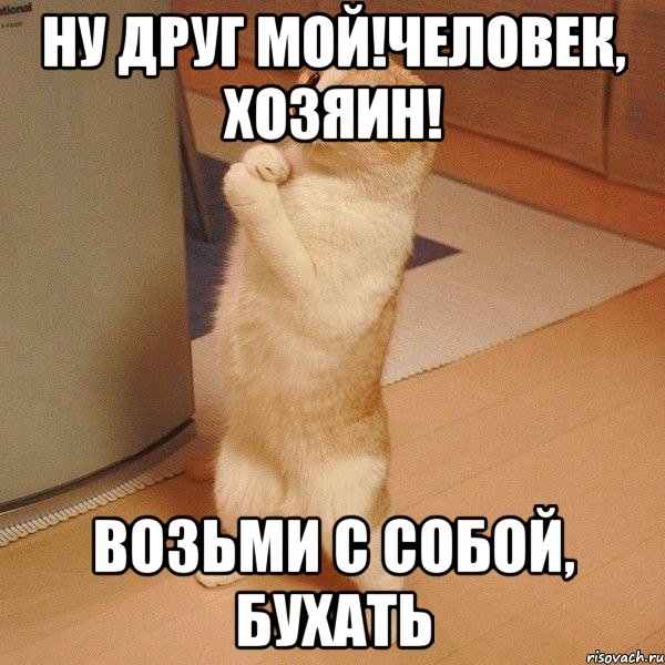 Ну друг мой!Человек, хозяин! Возьми с собой, бухать, Мем  котэ молится