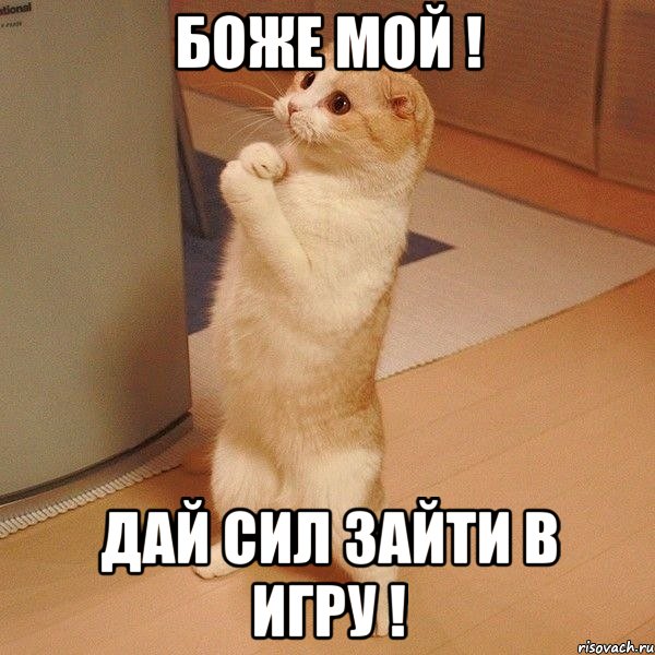 Боже мой ! Дай сил зайти в игру !, Мем  котэ молится