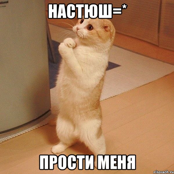 Настюш=* Прости меня, Мем  котэ молится