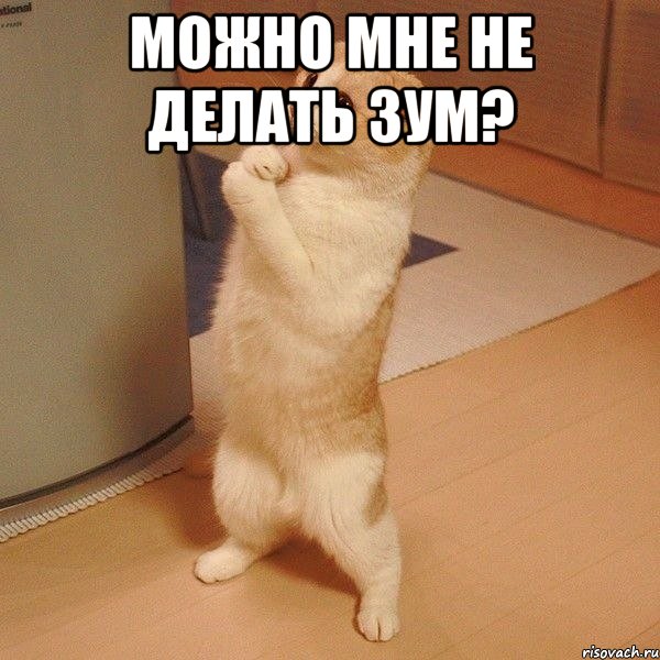 Можно мне не делать зум? , Мем  котэ молится