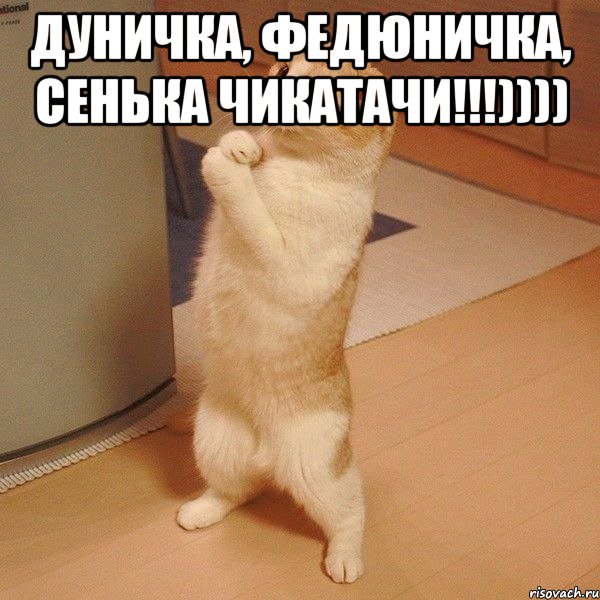 Дуничка, Федюничка, Сенька чикатачи!!!)))) , Мем  котэ молится