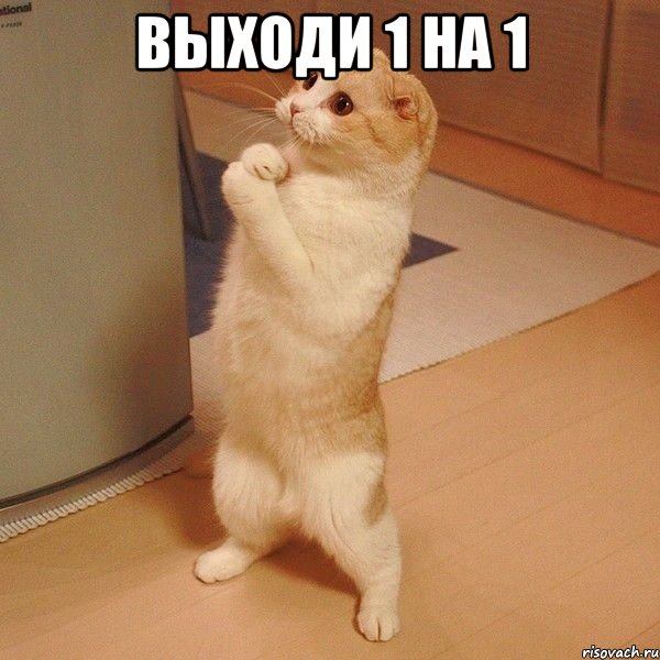 выходи 1 на 1 , Мем  котэ молится