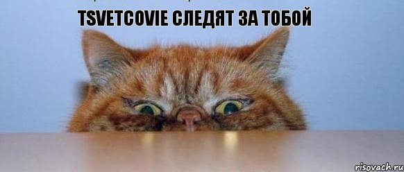 Tsvetcovie следят за тобой