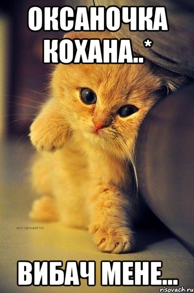 Оксаночка кохана..* вибач мене...