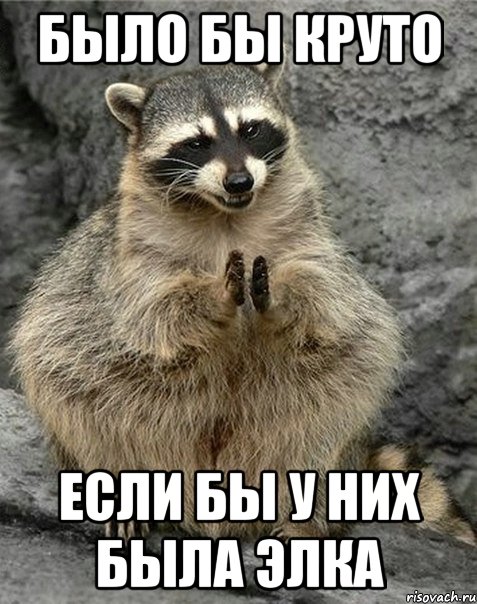 Было бы круто если бы у них была элка