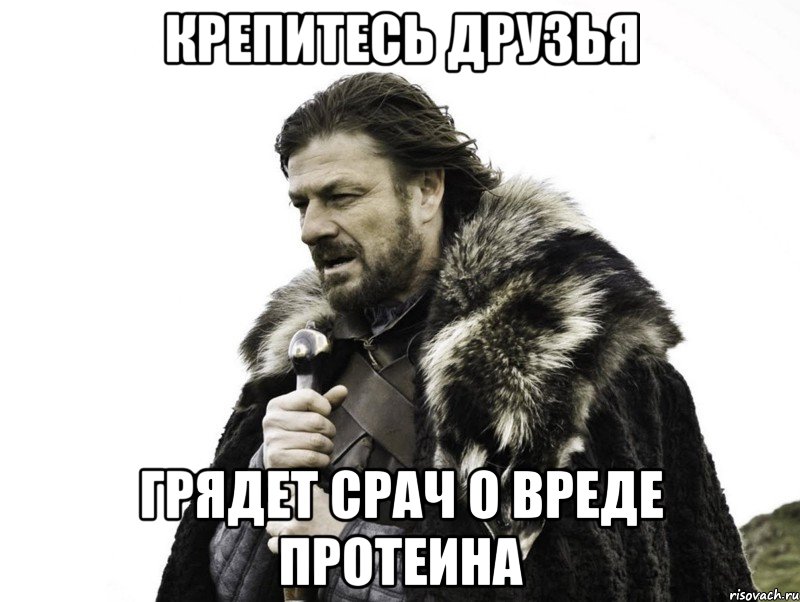 Крепитесь друзья Грядет срач о вреде протеина, Мем Зима близко крепитесь (Нед Старк)