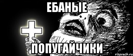 ебаные попугайчики