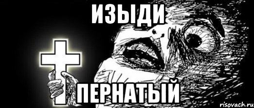 изыди пернатый