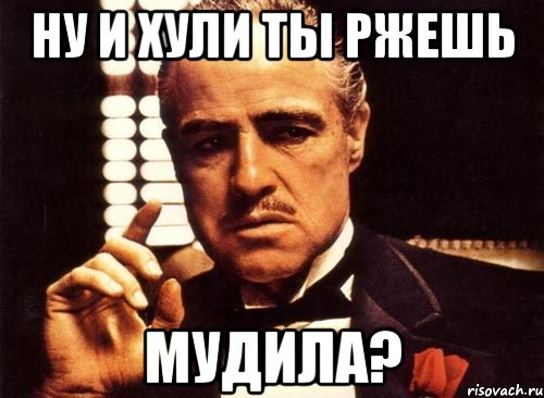 Ну и хули ты ржешь мудила?, Мем крестный отец