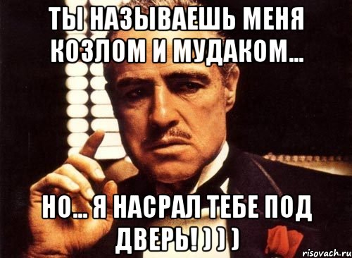 Ты называешь меня козлом и мудаком... но... Я насрал тебе под дверь! ) ) ), Мем крестный отец