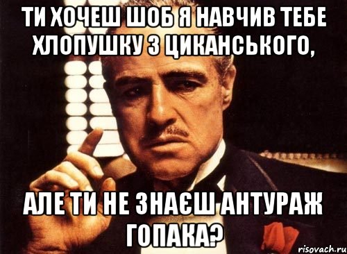 ти хочеш шоб я навчив тебе хлопушку з циканського, але ти не знаєш антураж гопака?, Мем крестный отец