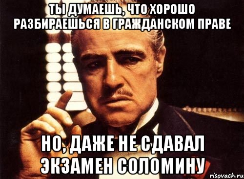 Ты думаешь, что хорошо разбираешься в гражданском праве Но, даже не сдавал экзамен Соломину, Мем крестный отец