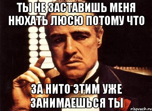 ты не заставишь меня нюхать люсю потому что за нито этим уже занимаешься ты, Мем крестный отец