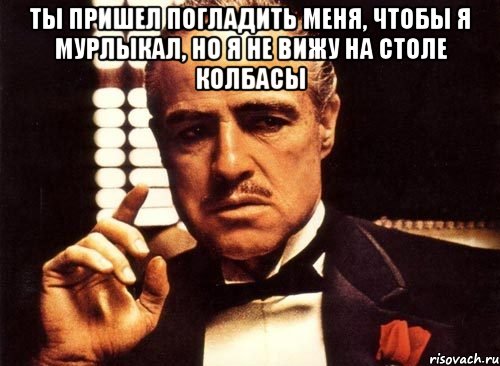 Ты пришел погладить меня, чтобы я мурлыкал, но я не вижу на столе колбасы , Мем крестный отец